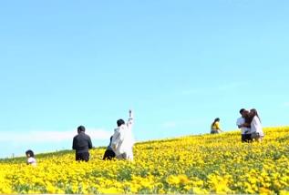 各地不斷“上新”新場景、新業態 “體驗經濟”激發文旅新活力