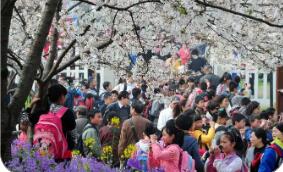 多地春假陸續落地 有望激發消費市場新增量
