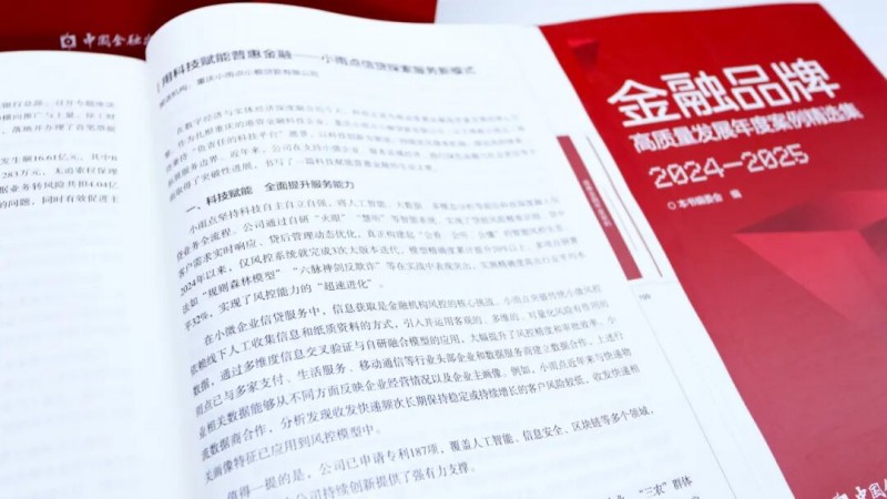 權威認可 | 小雨點入選中國金融雜志社“金融業年度品牌案例”