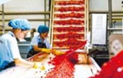 特色農產品變身優勢產業