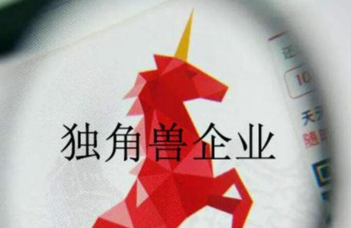 中國獨角獸企業占全球總量30% 總估值超1.6萬億美元