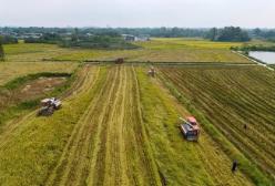 福建下達今年第二批耕地保護和生態修復專項資金