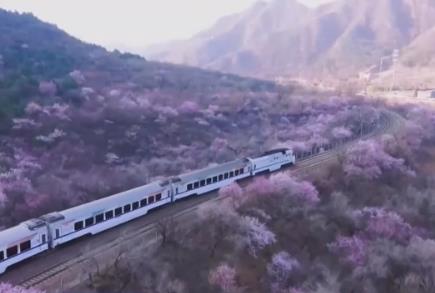 火車向著景區開 全國鐵路一季度開行旅游列車627列