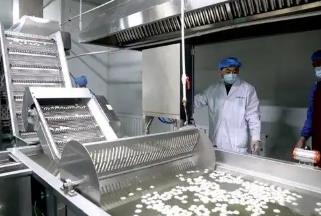 黑龍江佳木斯：冷水魚產業升級煥新彩