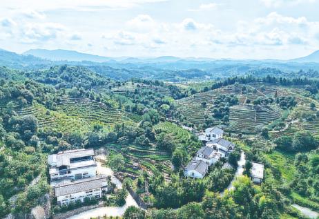 福建南平：錨定“小而美”文旅業態新