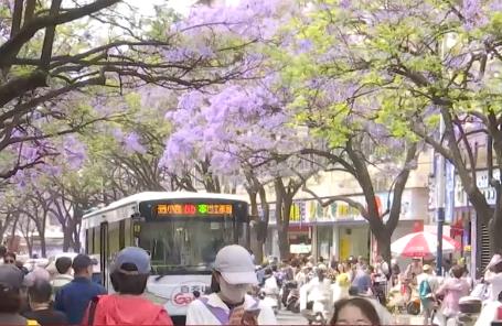 “新場景+新業態”打造沉浸式春日文旅新體驗 消費潛能釋放“熱氣騰騰”
