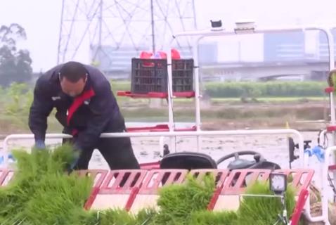 打擊、抽查、治理……市場監管總局將扎實做好各類農資產品監管執法
