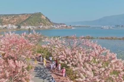 多地“花式”解鎖“花樣經濟”促增收 “農文旅體”融合涌動消費暖流