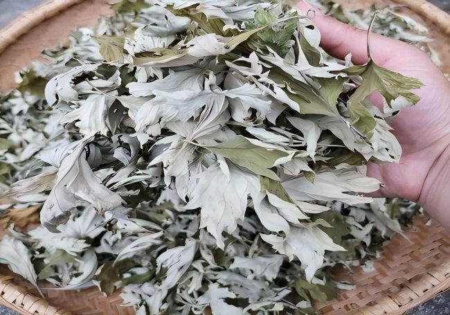 一“艾”生金，山鄉迎變