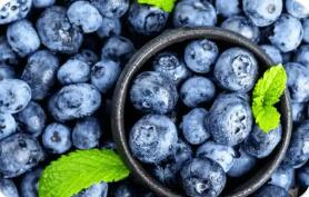 云南大理藍莓首次出口