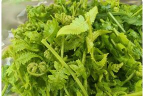 云南永德：特色野菜點亮富民路