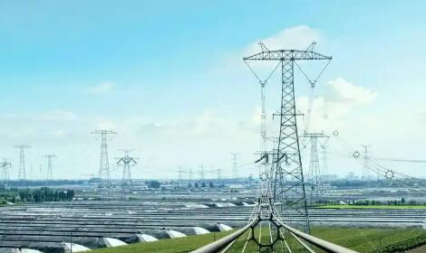 從三組關系，看新型電力系統建設的山東實踐