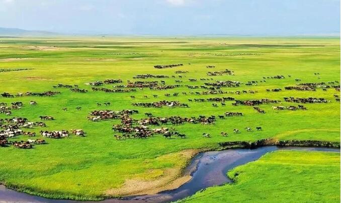 內蒙古地理標志產業發展量質齊升 全產業鏈綜合產值近700億元