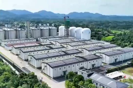 我國將深入推進綠色儲糧技術集成應用示范