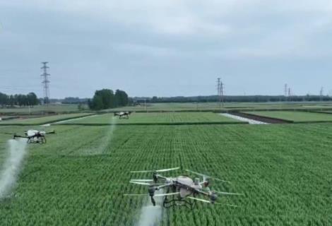 各地加大科技支撐 夯實糧食生產基礎