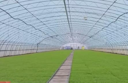 科技賦能農業生產“加速度” 希望的田野“耕”出穩產豐收強大底氣