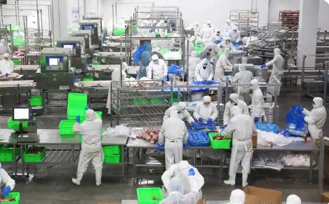 浙江杭州：二〇二八年建成千億級現代食品產業集群