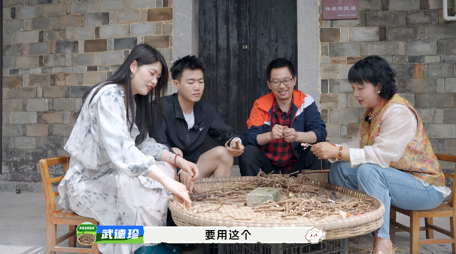 一朵牡丹花的“三重綻放”探訪仲景宛西制藥牡丹皮規范化種植基地