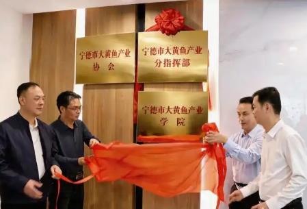 福建省寧德市大黃魚產業學院揭牌 賦能“中國大黃魚之都”高質量發展