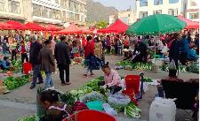 鄉村市場更旺，城鄉循環更暢