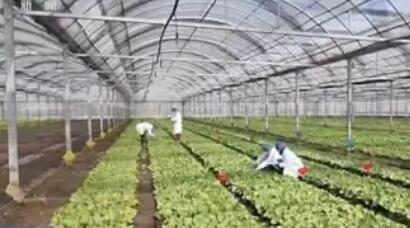我國首款RNA農藥獲批登記填補行業空白
