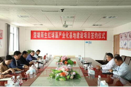 楚雄市人民政府與云南愛爾發成功簽約楚雄雨生紅球藻產業化基地建設項目