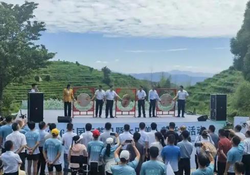 “中國美人茶之鄉”福建大田舉辦第六屆開茶活動