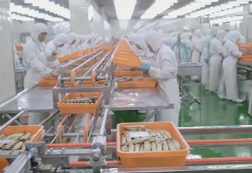 科技為舵，冷凍食品產業穿越周期
