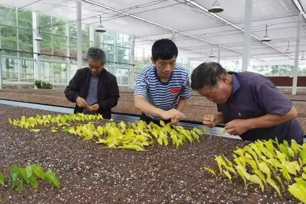 心中若有夢，60也年輕——浙江新昌重構青年定義背后的鄉村人才觀
