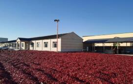 內蒙古通遼市：開魯紅干椒香飄世界