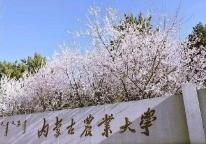 內蒙古首個中外合作辦學機構獲批