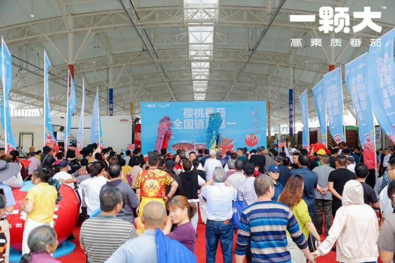 一顆大?夏季主題路演暨滁州市場開業活動圓滿舉行，首日熱銷近6噸