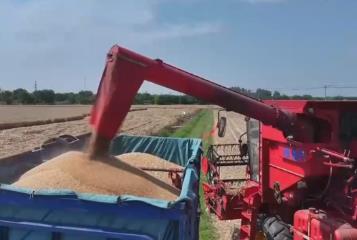 科技賦能夏收夏種 助力糧食穩產豐收