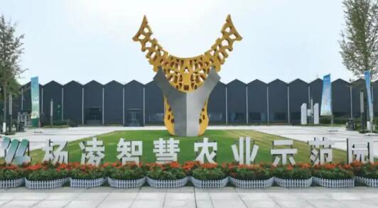 陜西省楊凌示范區：全力打造全球旱區農業新質生產力策源地
