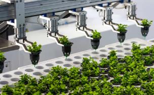 我國將培育壯大農業新興產業和未來產業