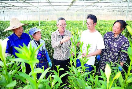 追光逐熱，福建南平種業高地勢正揚
