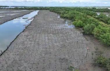 廣東林長制落實成效顯著 “綠色家底”持續增厚