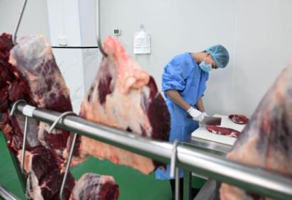 廣東潮州：舌尖上的“牛產業”