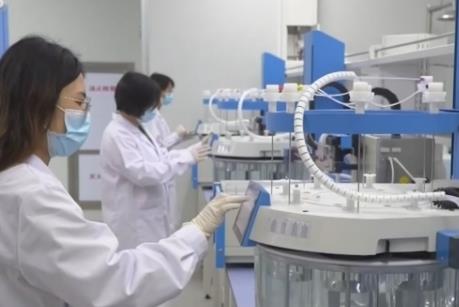 “技術創新+產業積淀”聚勢發力 我國在生物材料國際標準化工作實現“領跑”