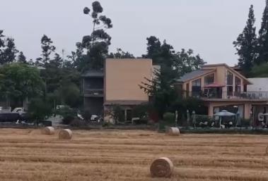 “種糧收入+秸稈增收+文旅衍生” 田園消費“新”場景催熱“麥田經濟”
