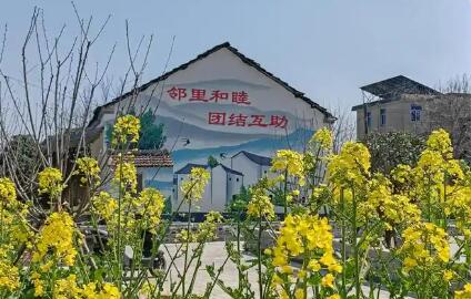 安徽合肥演繹鄉村振興“三重奏”
