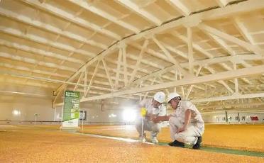 讓“中國飯碗”盛滿“健康中國”的河南力量