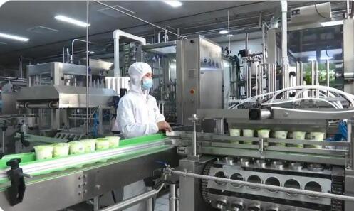 內蒙古鄂爾多斯特色奶產業規模持續擴大