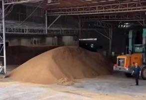 收儲接力，近7000噸濕小麥跨省搶烘