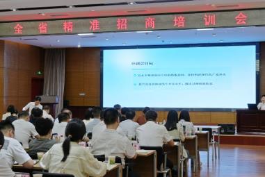 發力精準招商，湖北準備這樣干