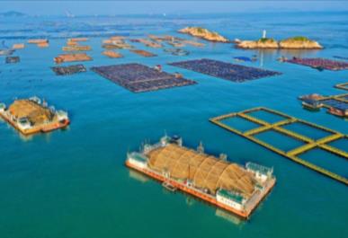 1.3萬億海洋GDP背后，福建“碧海銀灘”成色如何？