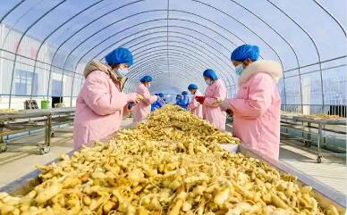 有機認證賦能提質 河南激活縣域經濟新動能