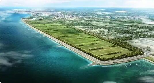我國海洋生態保護修復取得新成效