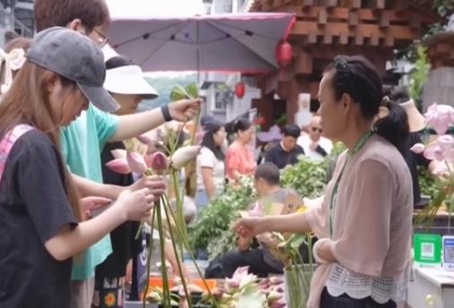 “一朵夏日荷花”撬動城市熱度 以荷為媒激活文旅消費新動能