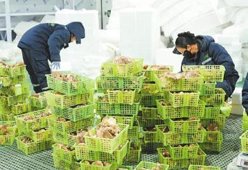 2026年首批全國名特優新農產品名錄公布　四川102個農產品入選